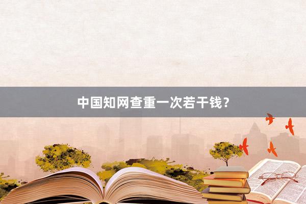 中国知网查重一次若干钱？